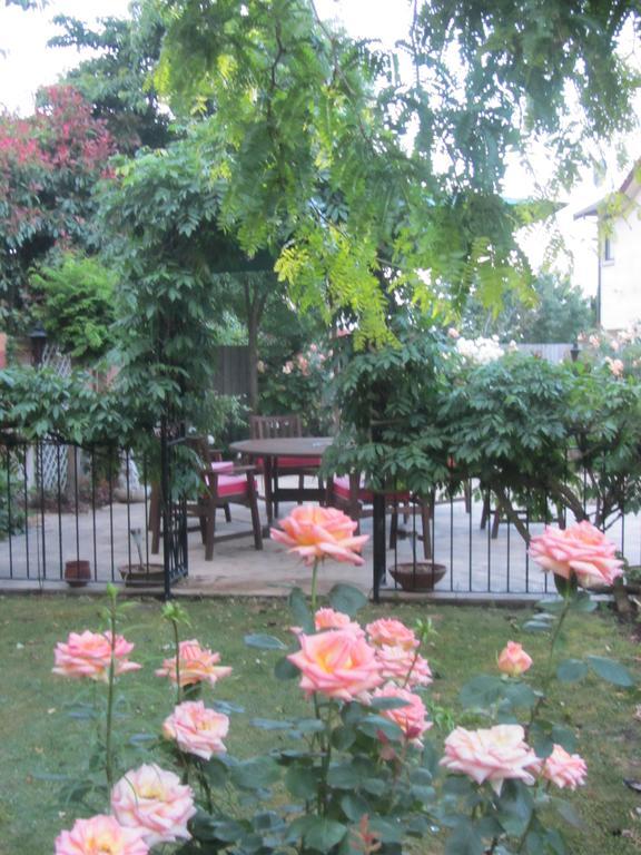 Airport Stableford B&B Christchurch Bagian luar foto